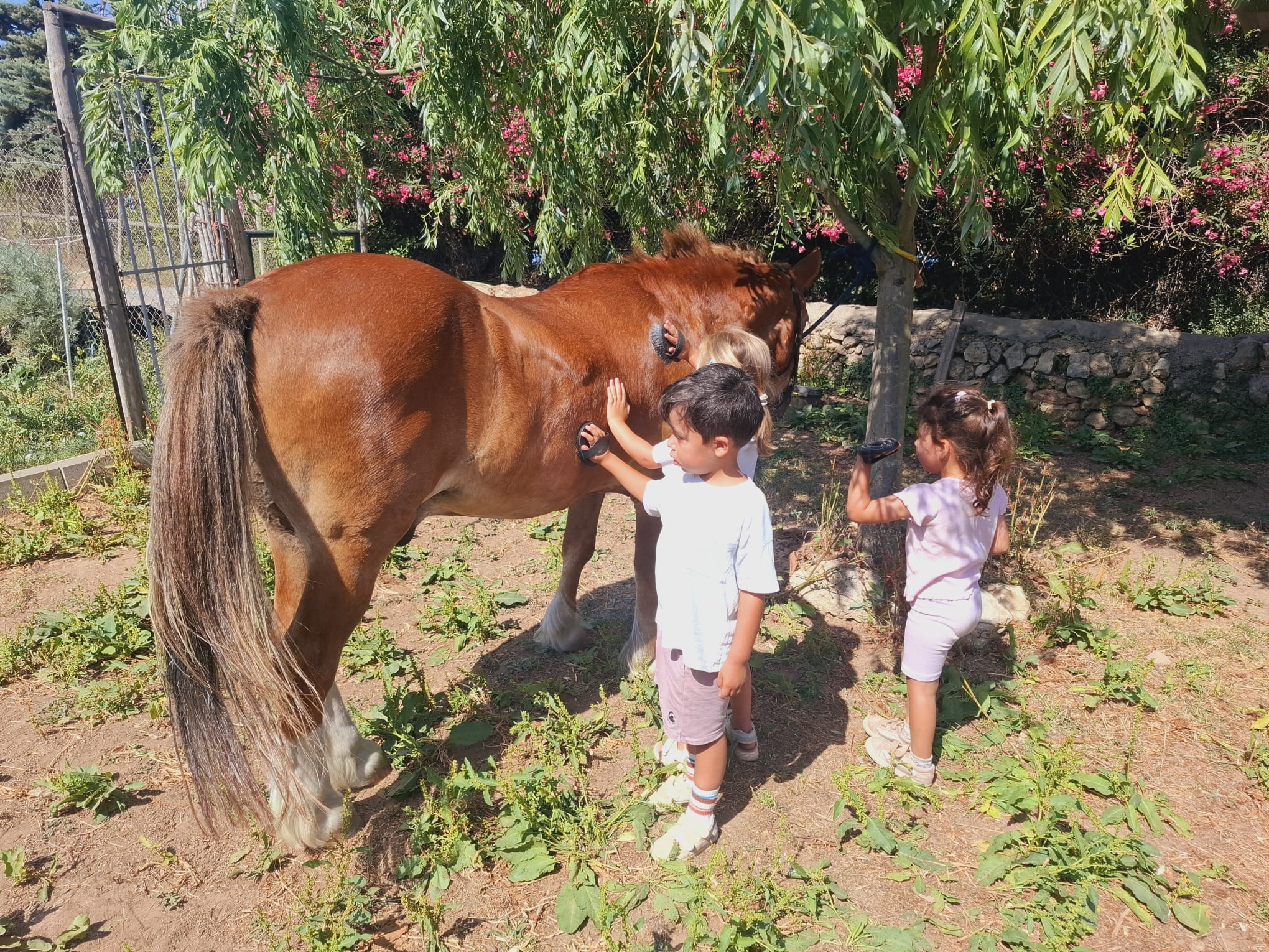 Esplais i campus nens amb un cavall